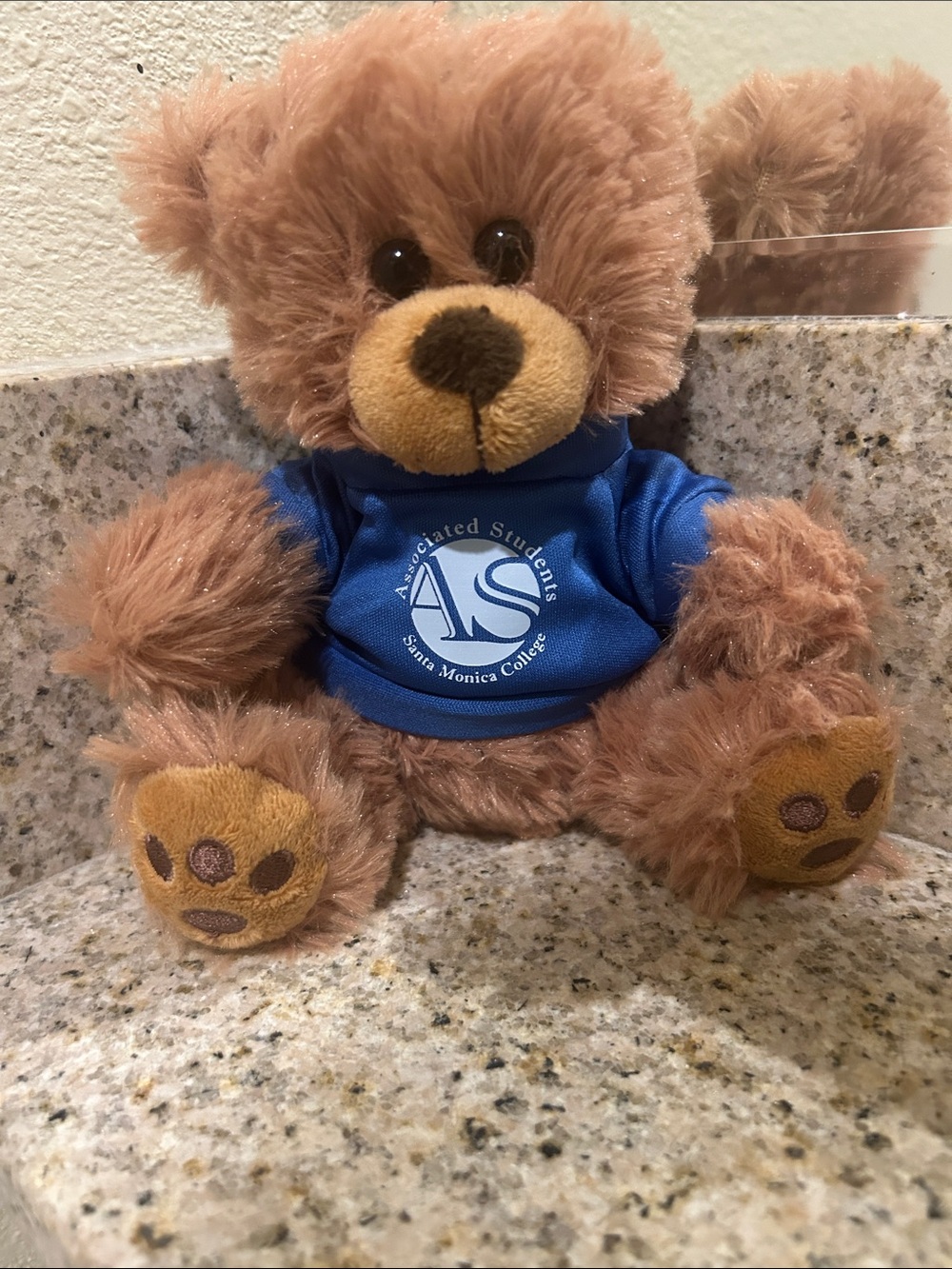 Associated Students Santa Monica College🧸Adorable Mini Brown Teddy Bear+Shirt